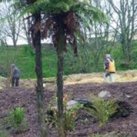 Fonterra staff on the upper track. Cambridge Tree Trust